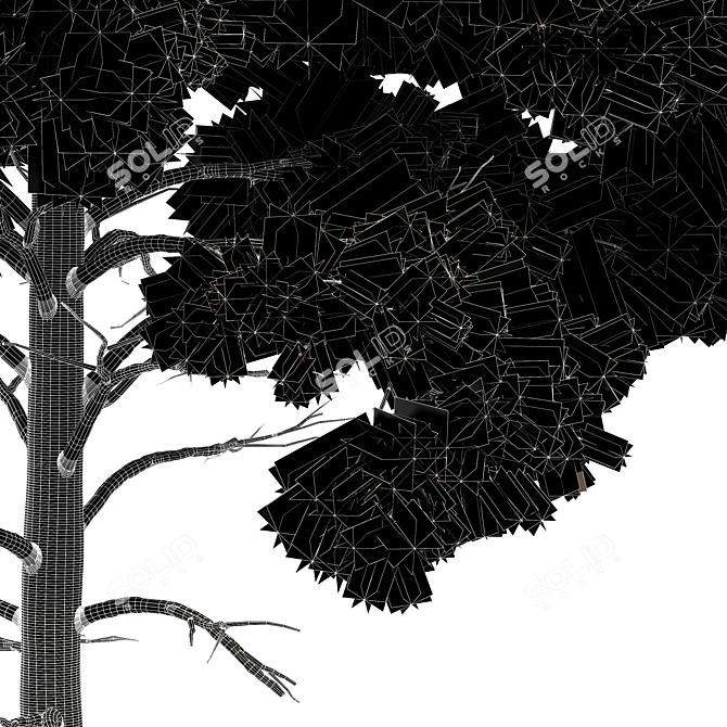 Pine Tree Bundle: High-Res, Professional 3D Models 3D model image 5