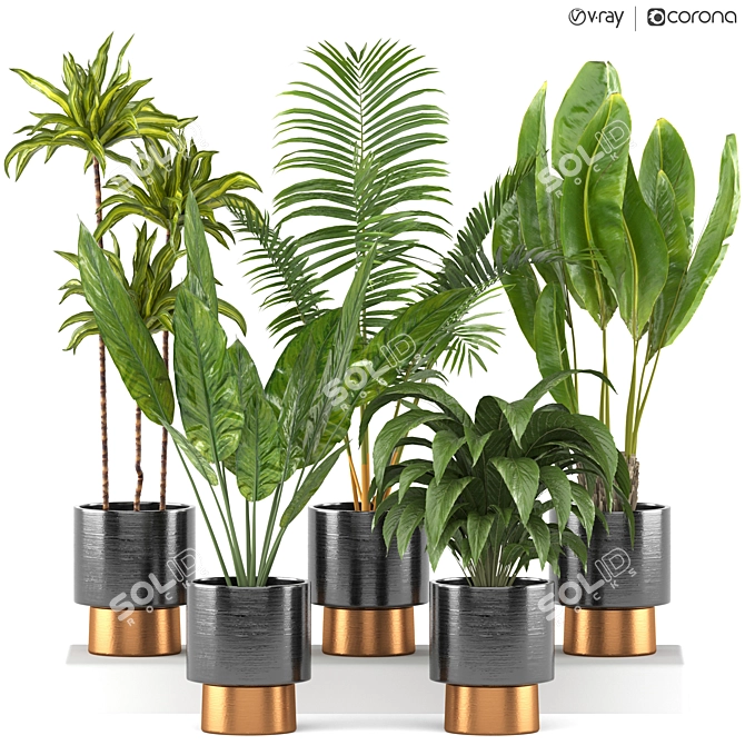 5-Piece Indoor Plant Set 3D model image 1