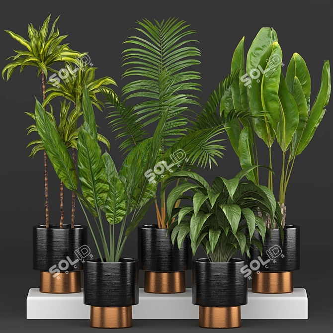 5-Piece Indoor Plant Set 3D model image 2