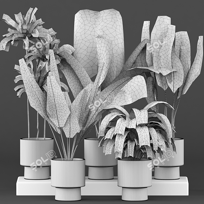 5-Piece Indoor Plant Set 3D model image 5