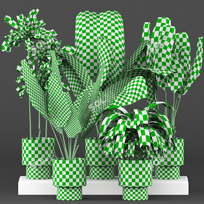 5-Piece Indoor Plant Set 3D model image 6