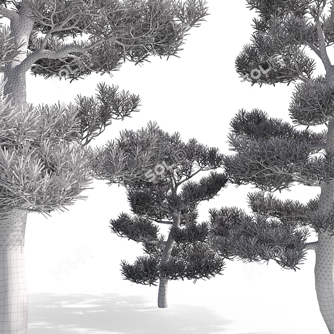 Pristine Pines: Realistic Pine Trees 3D model image 4