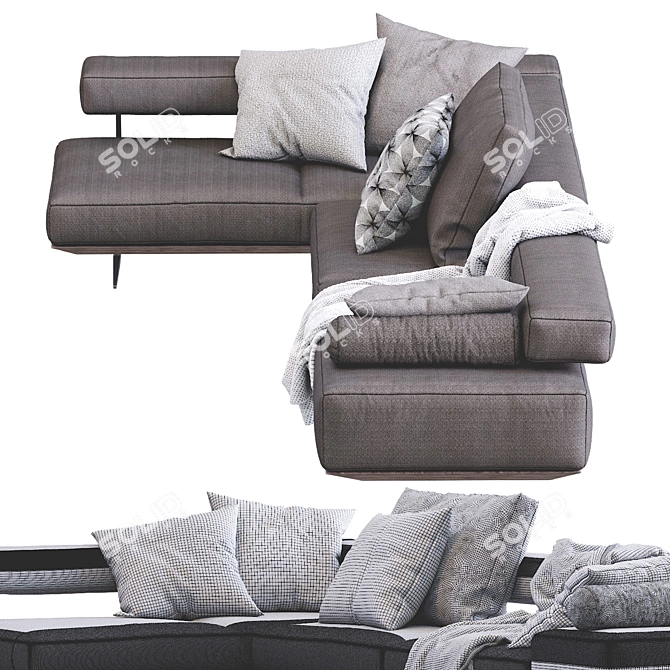 Elegant Sofa Wing by Flexform 3D model image 3