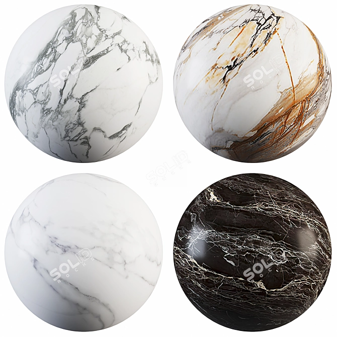 Marble Collection: Calacatta Paonazzo, Calacatta White, Arabescato Oro & Port Brown 3D model image 1