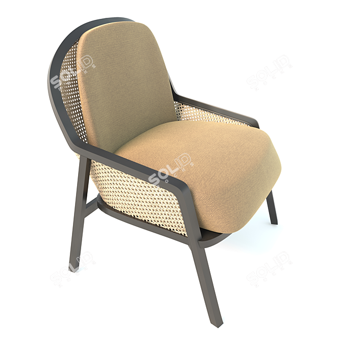 Modern Woven Metal Accent Chair 3D model image 1