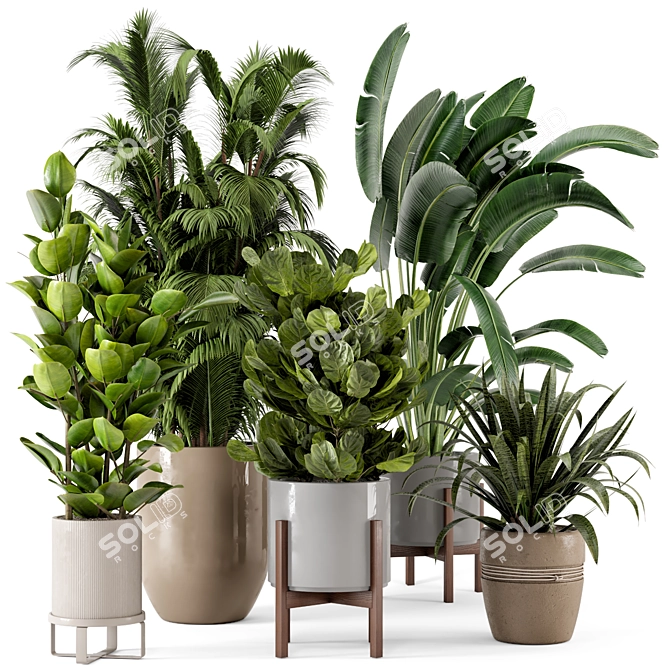  Rusty Concrete Pot Indoor Plants - Set 228 3D model image 1