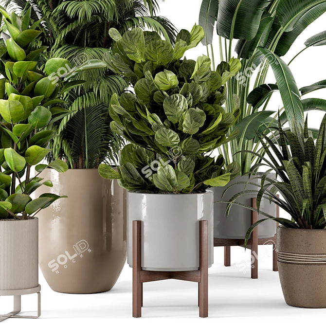 Rusty Concrete Pot Indoor Plants - Set 228 3D model image 2