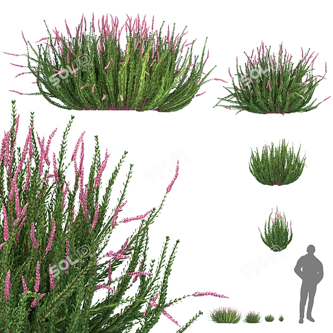 Versatile Outdoor Bush Collection 3D model image 1