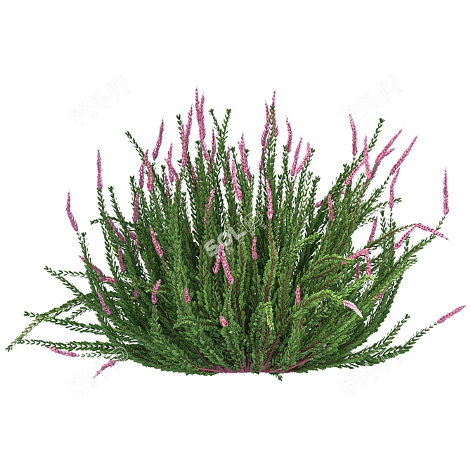 Versatile Outdoor Bush Collection 3D model image 2