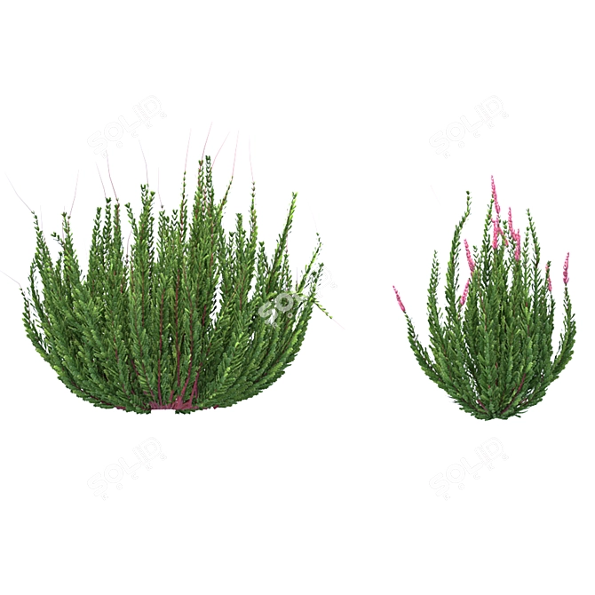 Versatile Outdoor Bush Collection 3D model image 4