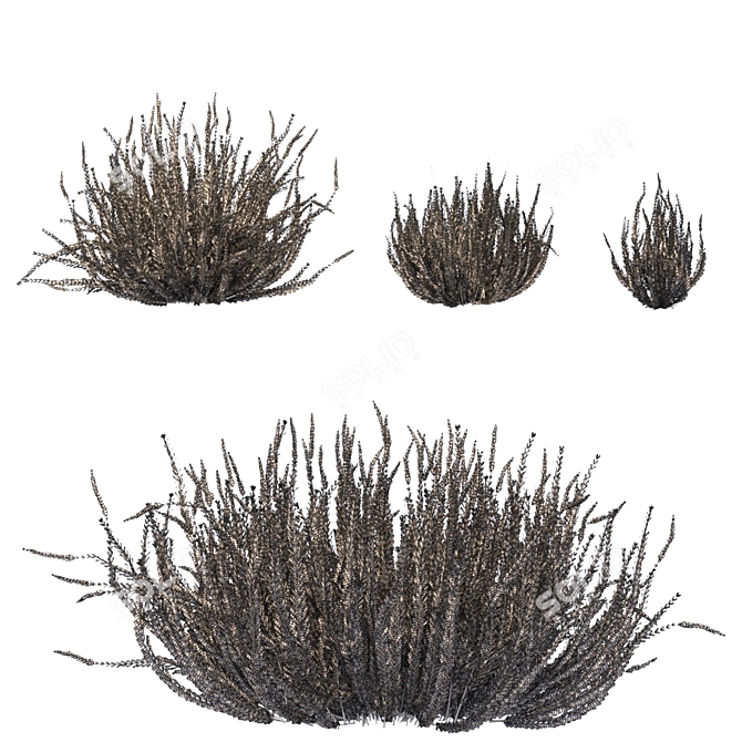 Versatile Outdoor Bush Collection 3D model image 5