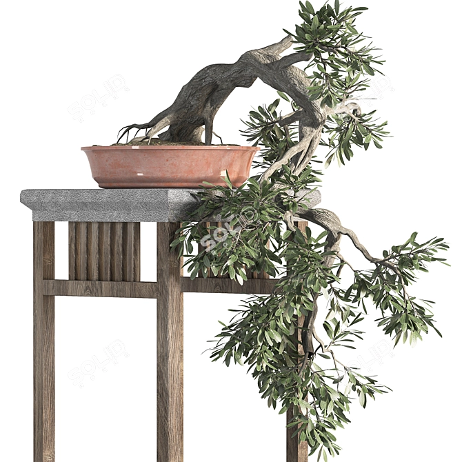 Blossom Bonsai: Miniature Natural Beauty 3D model image 2