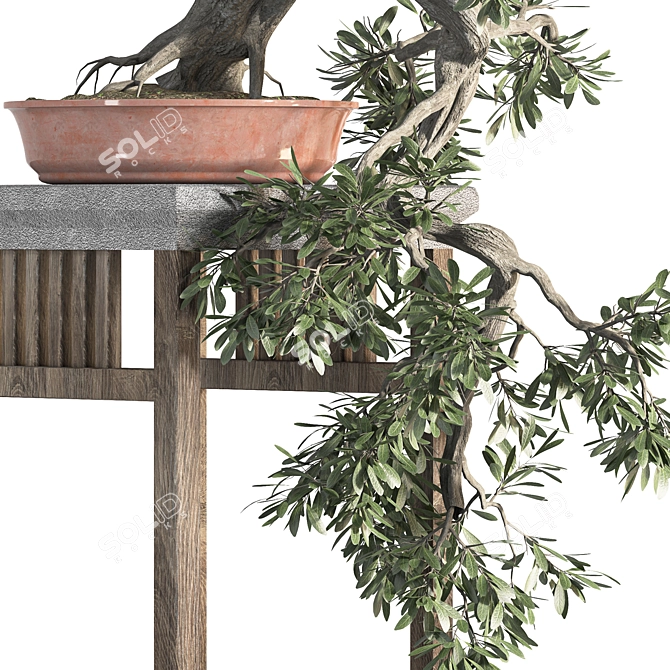 Blossom Bonsai: Miniature Natural Beauty 3D model image 3
