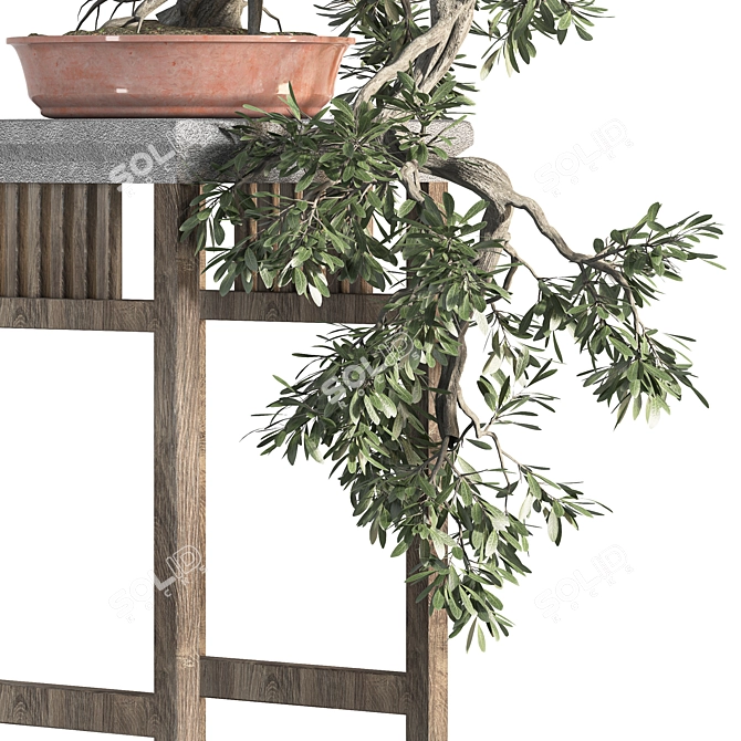 Blossom Bonsai: Miniature Natural Beauty 3D model image 4