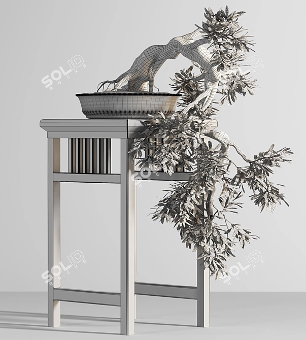 Blossom Bonsai: Miniature Natural Beauty 3D model image 5