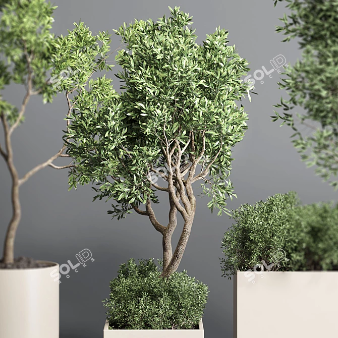 Collection Wood Vase Pot: Indoor Outdoor Plant 3D model image 3