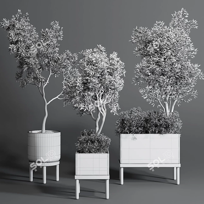 Collection Wood Vase Pot: Indoor Outdoor Plant 3D model image 6