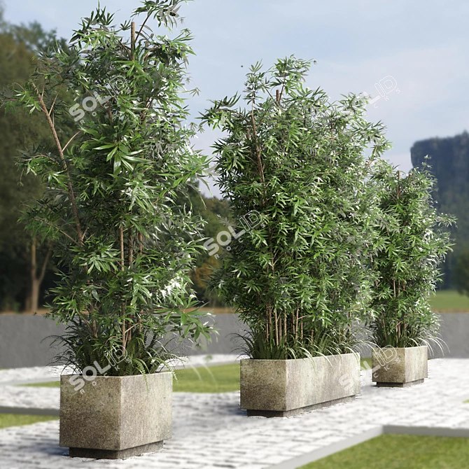 Outdoor Plant Collection: Concrete Vase, Tree Fern, Bamboo 3D model image 3