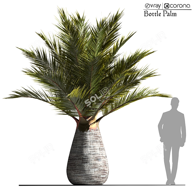 Tropical Palm Tree 3D Model 3D model image 1