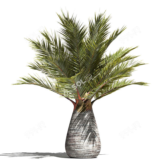 Tropical Palm Tree 3D Model 3D model image 2