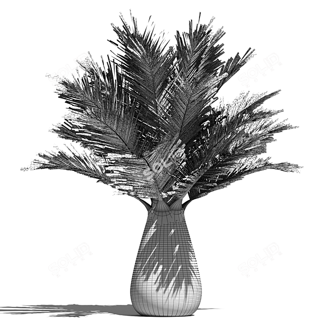 Tropical Palm Tree 3D Model 3D model image 3