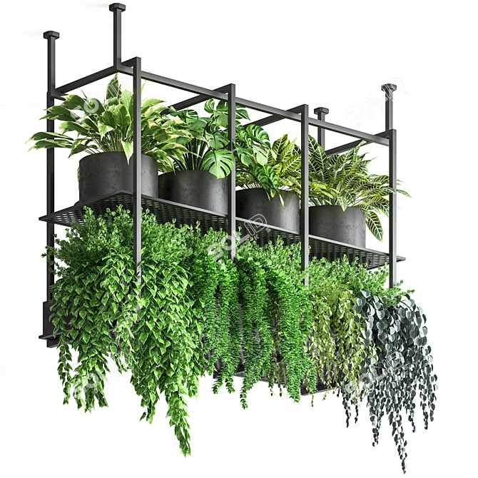 Metal Hanging Indoor Plant Pot Collection 3D model image 1
