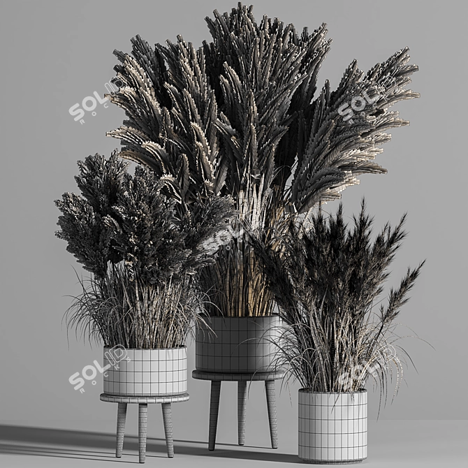 Pampas Indoor Plant Set 3D model image 5