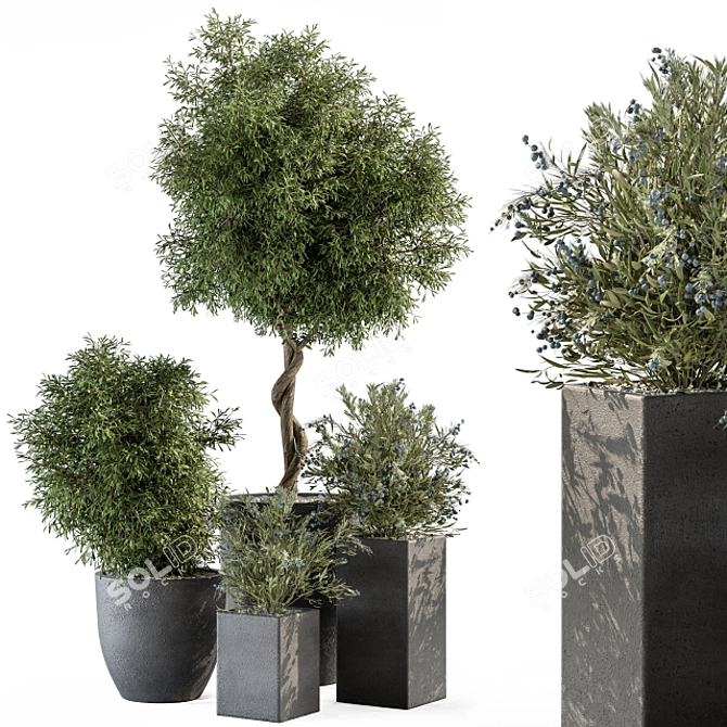 Concrete Pot Outdoor Plant Set 3D model image 1