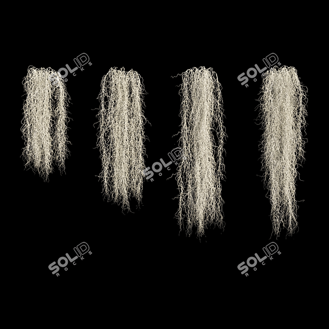 Spanish Moss 3D Model Bundle 3D model image 1