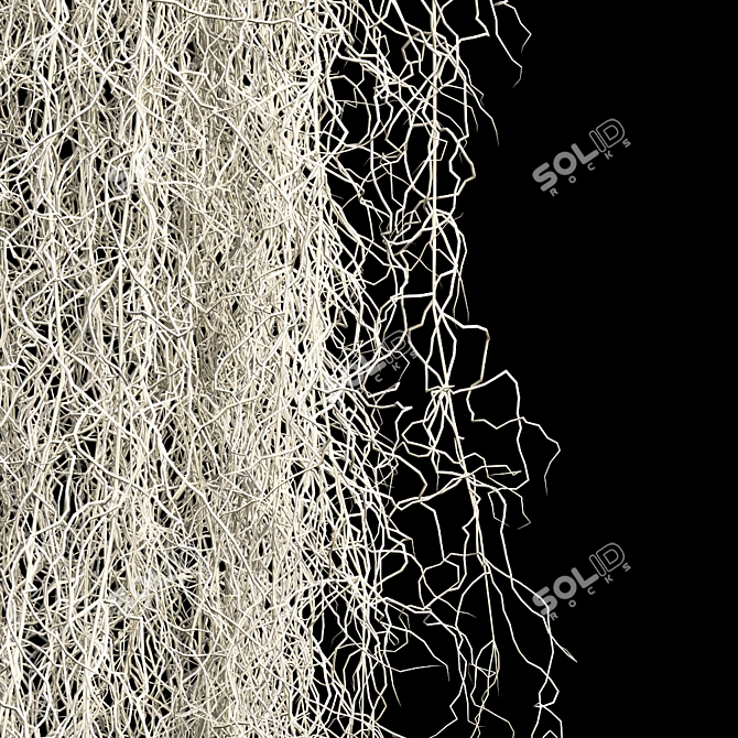 Spanish Moss 3D Model Bundle 3D model image 2