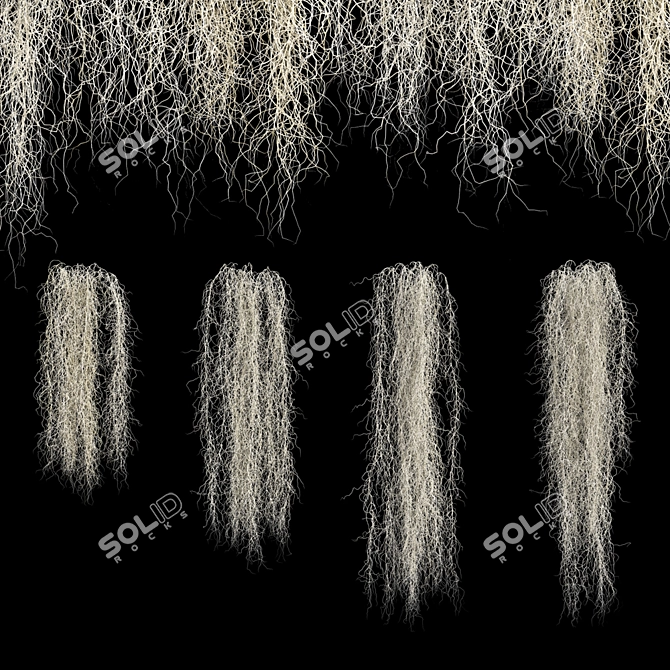 Spanish Moss 3D Model Bundle 3D model image 4