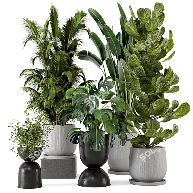 Ferm Living Bau Indoor Plant Set 3D model image 1