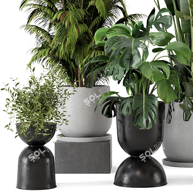 Ferm Living Bau Indoor Plant Set 3D model image 2