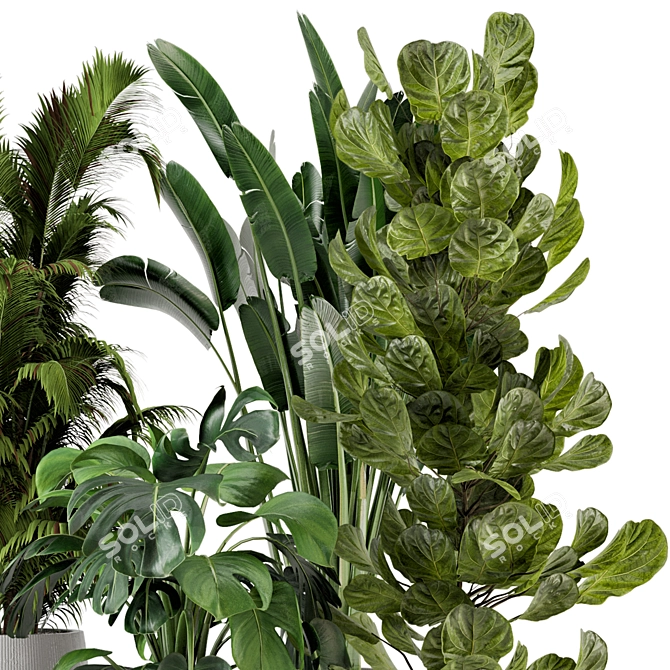 Ferm Living Bau Indoor Plant Set 3D model image 3