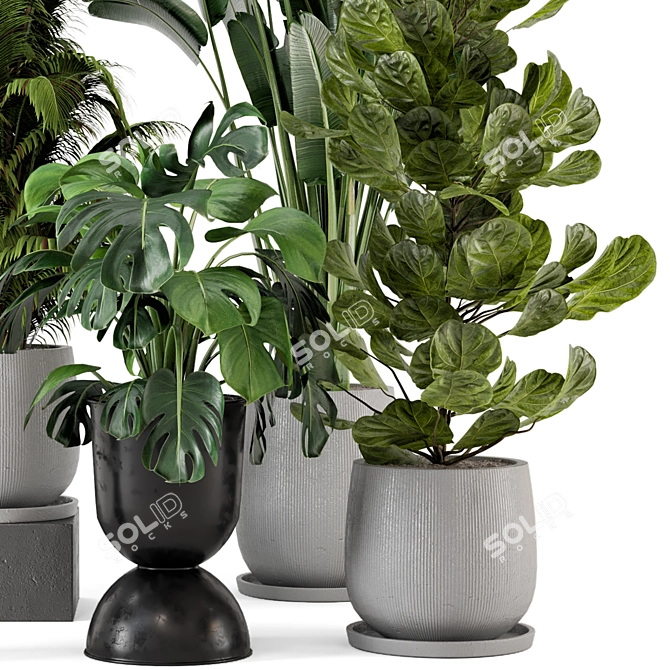 Ferm Living Bau Indoor Plant Set 3D model image 4