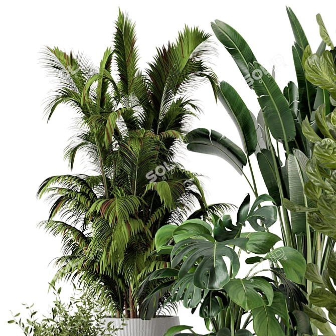 Ferm Living Bau Indoor Plant Set 3D model image 5