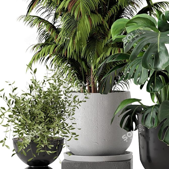 Ferm Living Bau Indoor Plant Set 3D model image 6