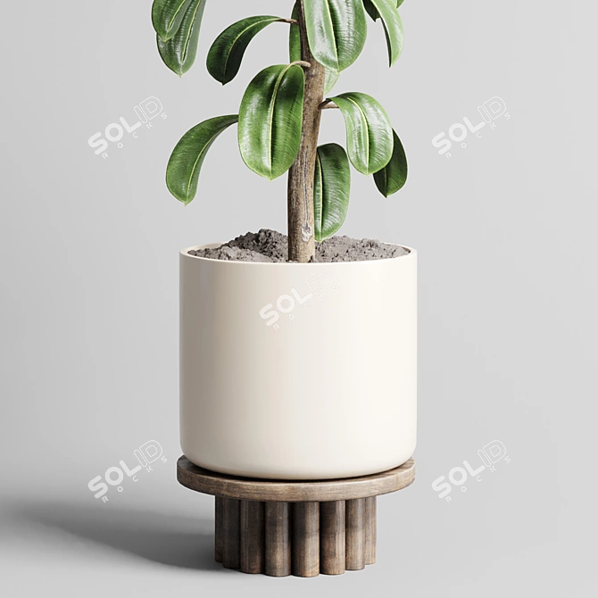 Wooden Vase Pot for Ficus Rubber Plant 3D model image 2