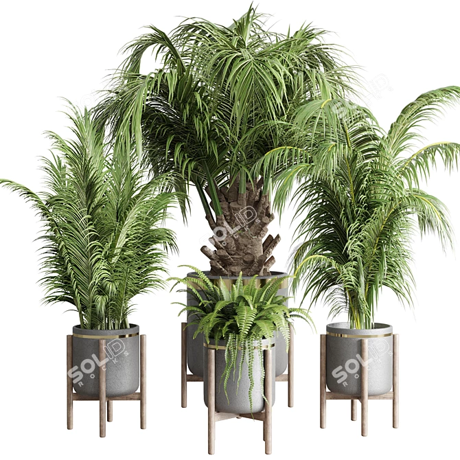 Concrete Vase Palm Fern: Indoor Plant Collection 3D model image 1