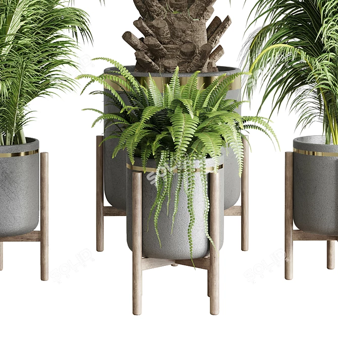 Concrete Vase Palm Fern: Indoor Plant Collection 3D model image 4