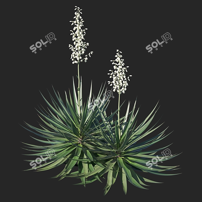 Sustainable Sisal Agave Crafts 3D model image 2