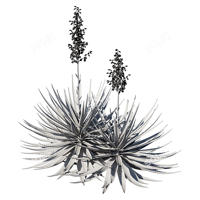 Sustainable Sisal Agave Crafts 3D model image 3