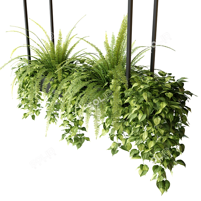 Rectangular Hanging Indoor Planters 3D model image 2