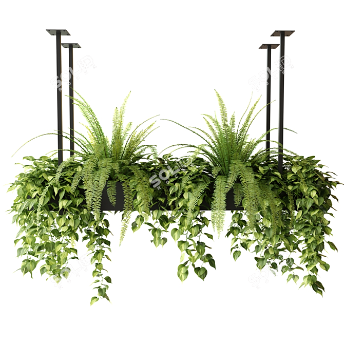 Rectangular Hanging Indoor Planters 3D model image 3