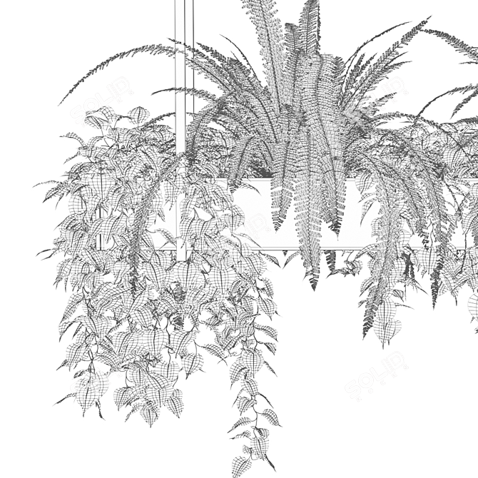 Rectangular Hanging Indoor Planters 3D model image 4