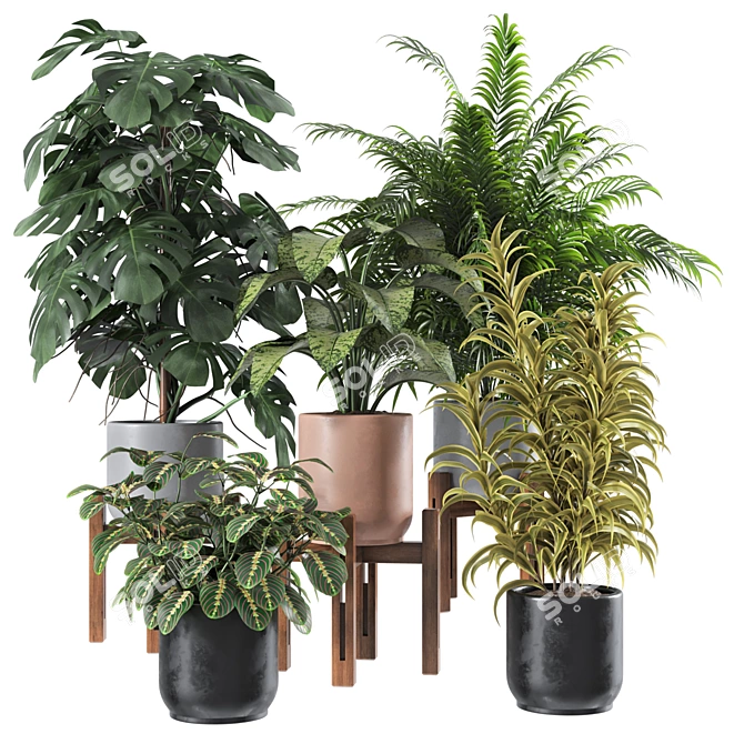 Premium Indoor Plants Set 3D model image 3