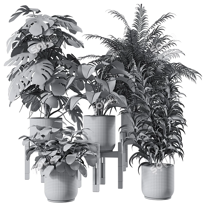 Premium Indoor Plants Set 3D model image 4