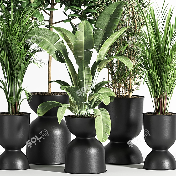 Indoor Plant Set 01Z: Beautiful and Versatile 3D model image 2