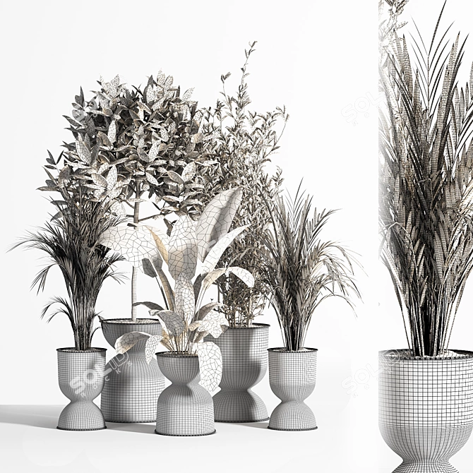 Indoor Plant Set 01Z: Beautiful and Versatile 3D model image 6