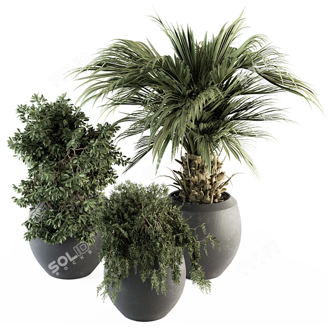 Indoor Oasis: 277 Plant Set 3D model image 1